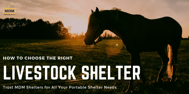 How to Choose a Livestock Shelter for Your Outdoor Animals
