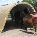 Portable Shelter For Livestock, 12 x 20 x 8, Round Style