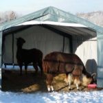 Livestock Shelters For Sale, 12 x 20 x 8, House Style